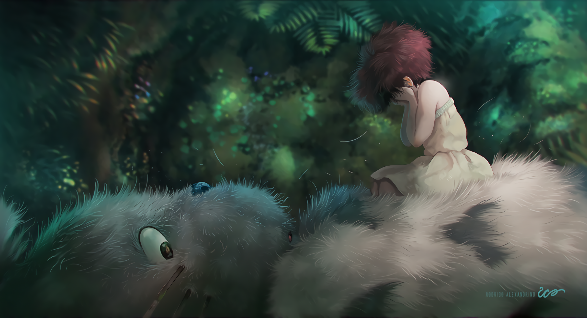 imagem 8